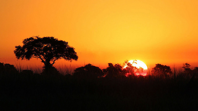 Chobe national park - credit Marion Bobst on Flickr